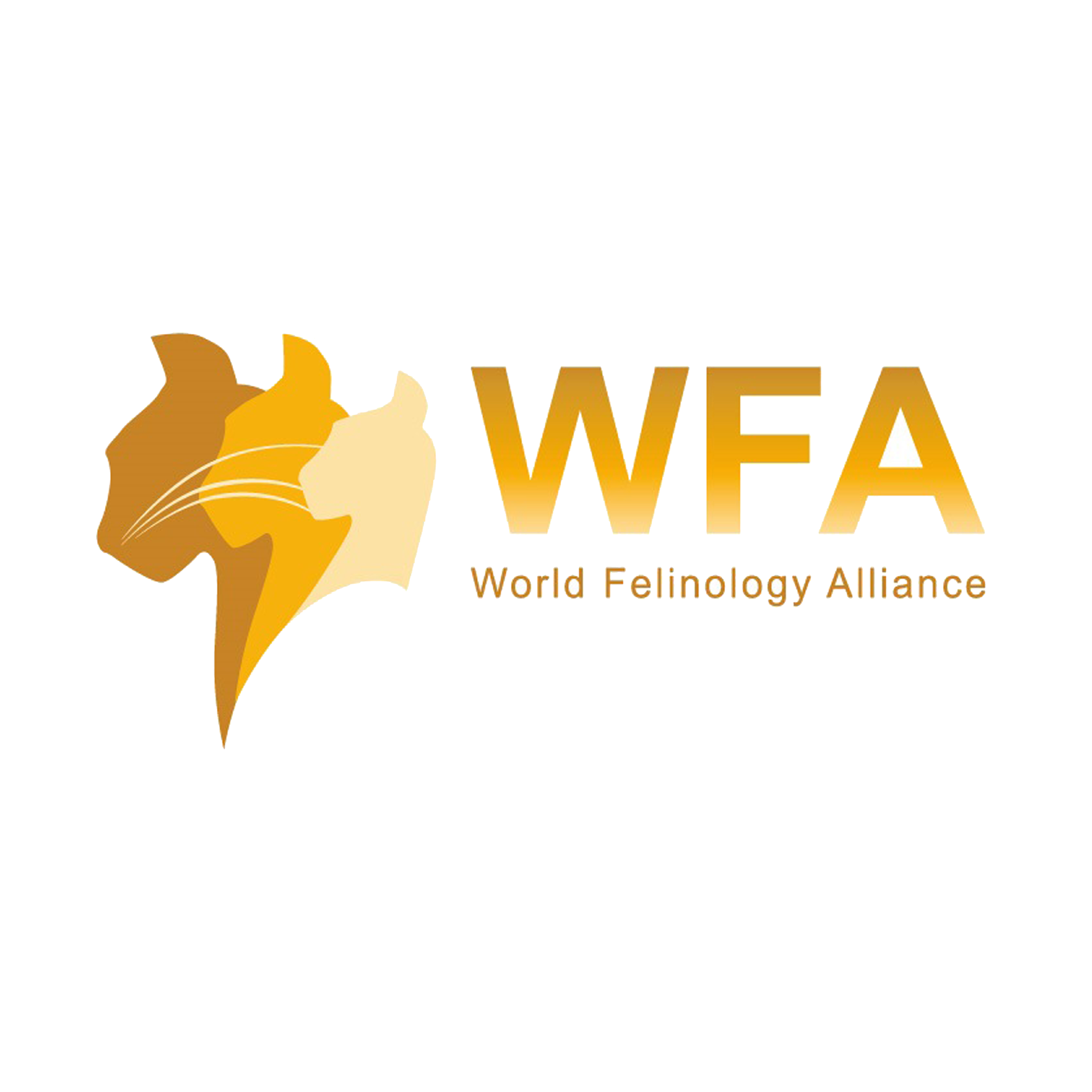 лого WFA