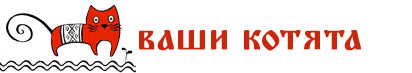 кнопка котята